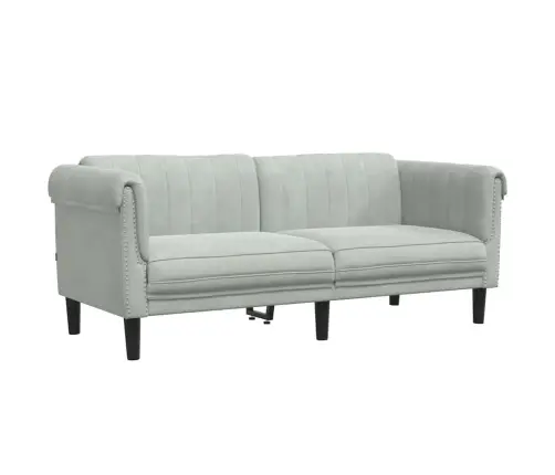 Divvietīgs Dīvāns, Gaiši Pelēks Samts Vidaxl