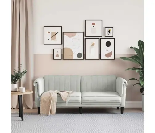 Divvietīgs Dīvāns, Gaiši Pelēks Samts Vidaxl