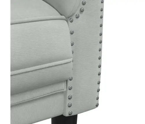 Divvietīgs Dīvāns, Gaiši Pelēks Samts Vidaxl