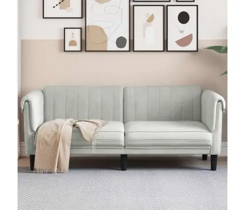 Divvietīgs Dīvāns, Gaiši Pelēks Samts Vidaxl