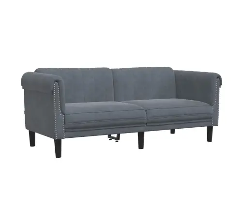 Divvietīgs Dīvāns, Tumši Pelēks Samts Vidaxl