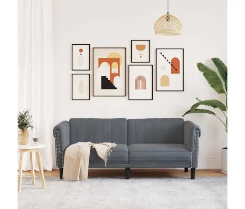 Divvietīgs Dīvāns, Tumši Pelēks Samts Vidaxl