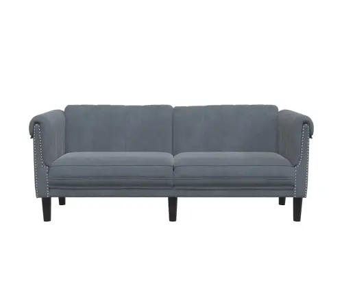 Divvietīgs Dīvāns, Tumši Pelēks Samts Vidaxl
