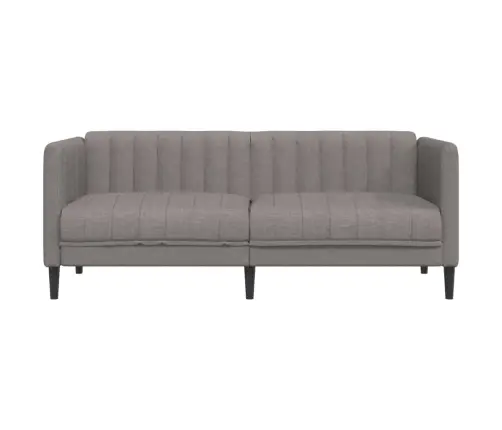 Divvietīgs Dīvāns, Pelēkbrūns Audums Vidaxl