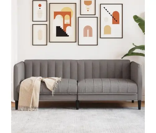 Divvietīgs Dīvāns, Pelēkbrūns Audums Vidaxl