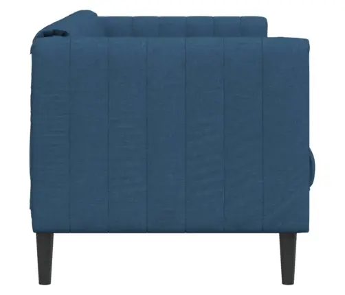 Dvivietė Sofa, Mėlynos Spalvos, Audinys