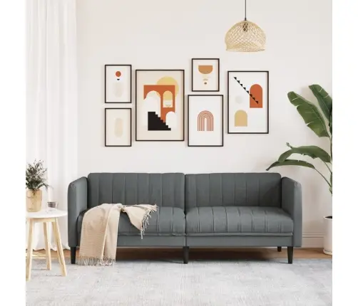 Trīsvietīgs Dīvāns, Tumši Pelēks Audums Vidaxl