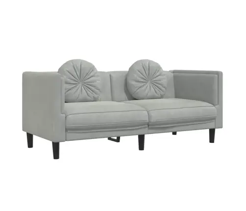 Dvivietė Sofa Su Pagalvėlėmis, Šviesiai Pilkos Spalvos, Aksomas