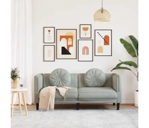 Dvivietė Sofa Su Pagalvėlėmis, Šviesiai Pilkos Spalvos, Aksomas