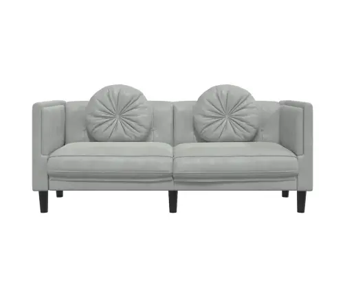 Dvivietė Sofa Su Pagalvėlėmis, Šviesiai Pilkos Spalvos, Aksomas