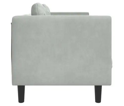 Dvivietė Sofa Su Pagalvėlėmis, Šviesiai Pilkos Spalvos, Aksomas