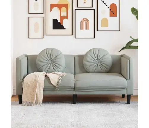 Dvivietė Sofa Su Pagalvėlėmis, Šviesiai Pilkos Spalvos, Aksomas