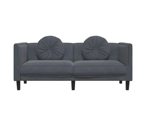 Divvietīgs Dīvāns Ar Matračiem, Tumši Pelēks Samts Vidaxl