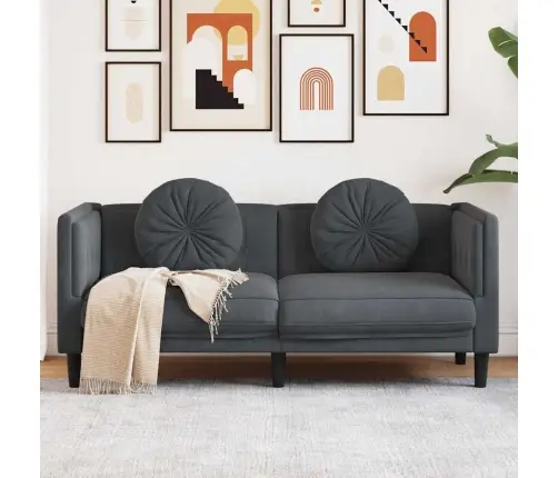 Divvietīgs Dīvāns Ar Matračiem, Tumši Pelēks Samts Vidaxl