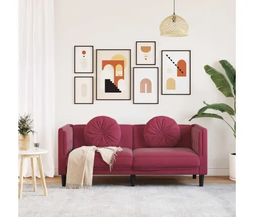 Dvivietė Sofa Su Pagalvėlėmis, Vyno Raudonos Spalvos, Aksomas