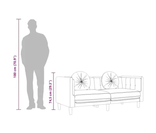 Dvivietė Sofa Su Pagalvėlėmis, Vyno Raudonos Spalvos, Aksomas