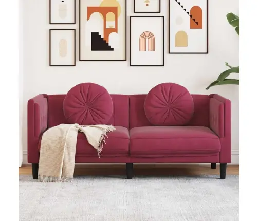 Dvivietė Sofa Su Pagalvėlėmis, Vyno Raudonos Spalvos, Aksomas