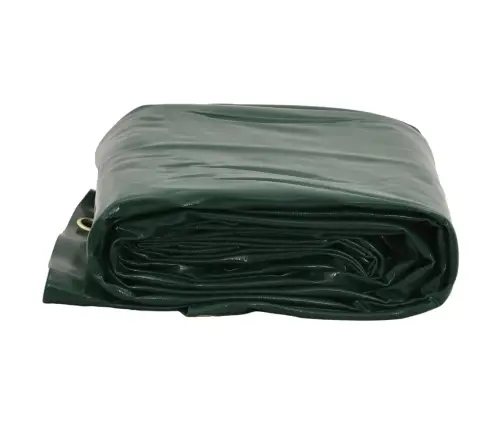 Present, Roheline, 5 X 5 M, 650 G/M²