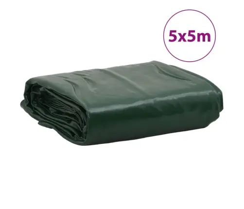 Present, Roheline, 5 X 5 M, 650 G/M²