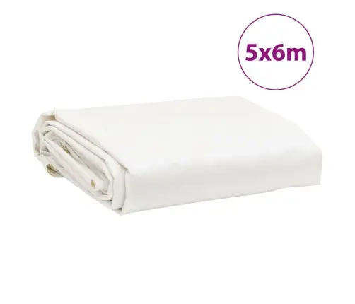 Brezenta Pārklājs, Balts, 5X6 M, 650 G/M² Vidaxl