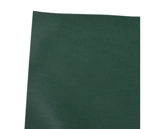 Brezenta Pārklājs, Zaļš, 5X6 M, 650 G/M² Vidaxl