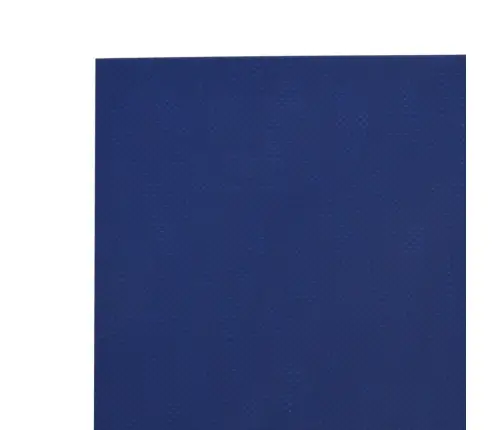 Brezenta Pārklājs, Zils, 4X7 M, 650 G/M² Vidaxl