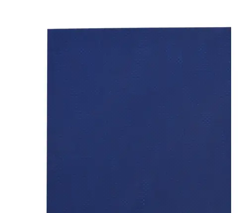 Brezenta Pārklājs, Zils, 1,5X10 M, 650 G/M² Vidaxl