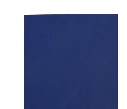 Brezenta Pārklājs, Zils, 2,5X3,5 M, 650 G/M² Vidaxl