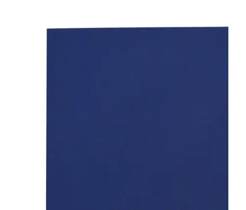 Brezenta Pārklājs, Zils, 1,5X2 M, 650 G/M² Vidaxl
