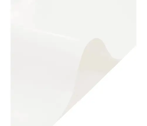 Brezenta Pārklājs, Balts, 3X6 M, 650 G/M² Vidaxl