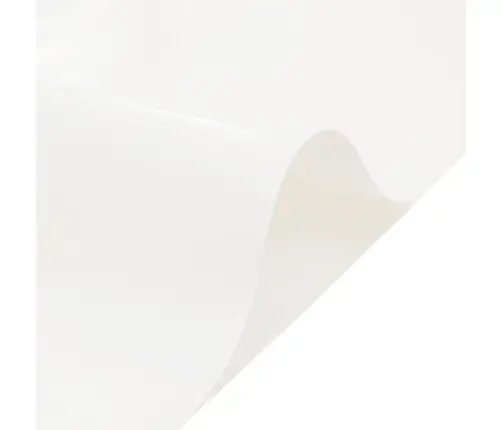 Brezenta Pārklājs, Balts, 1,5X6 M, 650 G/M² Vidaxl
