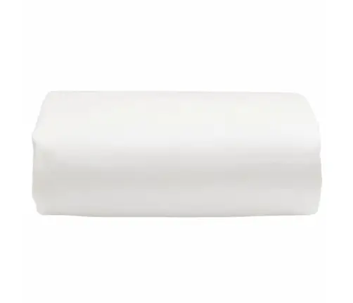 Brezenta Pārklājs, Balts, 5X6 M, 650 G/M² Vidaxl