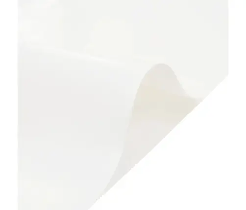 Brezenta Pārklājs, Balts, 5X8 M, 650 G/M² Vidaxl