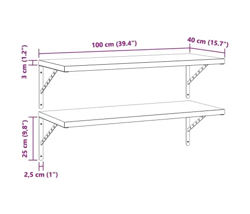 Seinariiulid 2 Tk, 100X40 cm Hõbedane, Roostevaba Teras