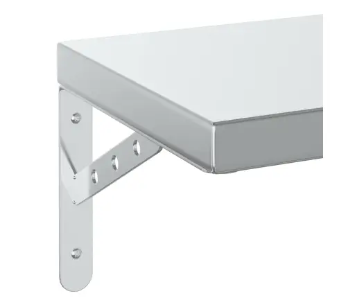 Sieninės Lentynos, 2Vnt., Sidabrinės, 100X23,5cm Plienas