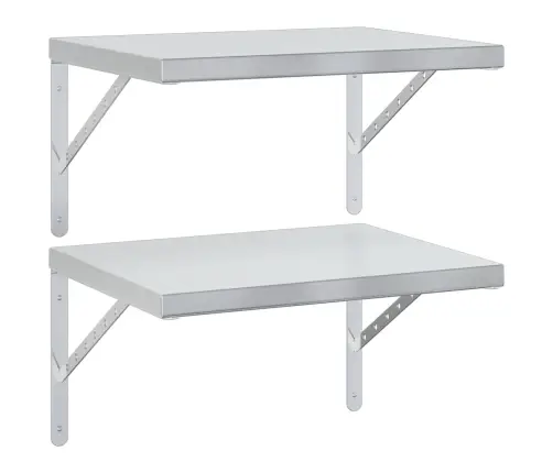 Sieninės Lentynos, 2Vnt., Sidabrinės, 50X40cm Plienas