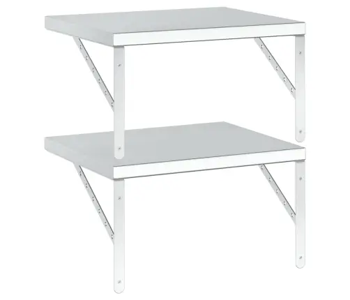 Sieninės Lentynos, 2Vnt., Sidabrinės, 50X40cm Plienas