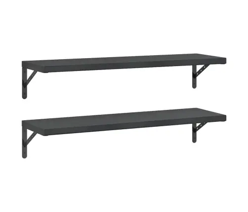 Sienas Plaukti, 2 Gab., 100X30 Cm, Nerūsējošs Tērauds, Melna Vidaxl