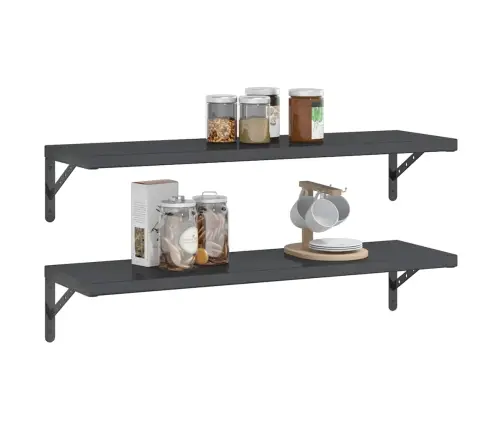 Sienas Plaukti, 2 Gab., 100X30 Cm, Nerūsējošs Tērauds, Melna Vidaxl