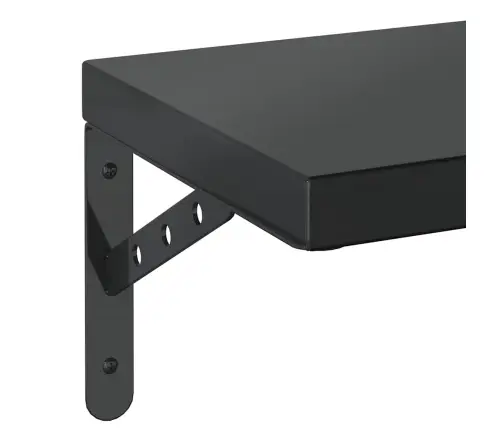 Sieninės Lentynos, 2Vnt., Juodos, 100X23,5cm Plienas