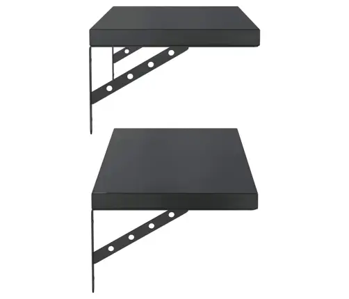 Sieninės Lentynos, 2Vnt., Juodos, 75X30cm Plienas