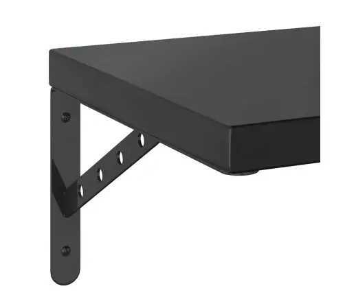 Sieninės Lentynos, 2Vnt., Juodos, 75X30cm Plienas