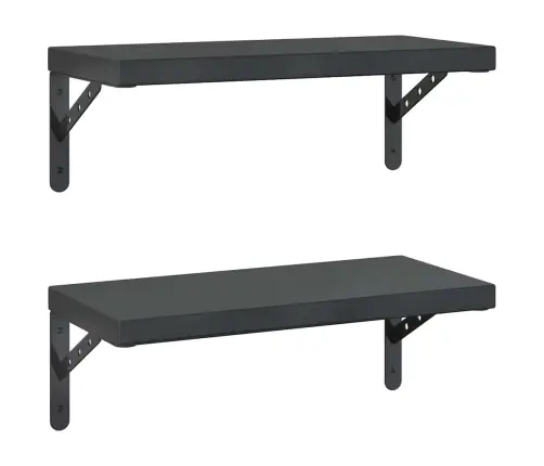 Seinariiulid 2 Tk, 50X23,5 cm Must, Roostevaba Teras