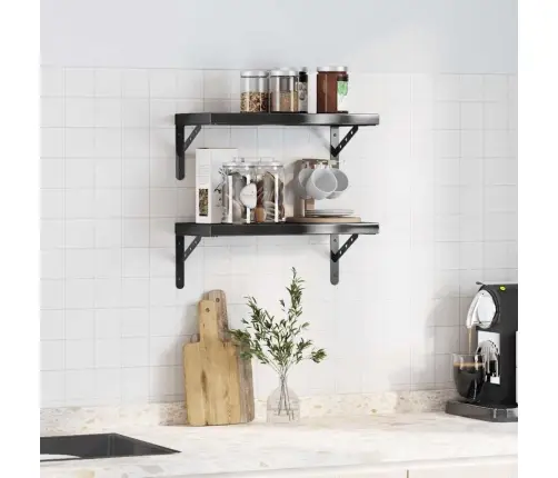 Seinariiulid 2 Tk, 50X23,5 cm Must, Roostevaba Teras