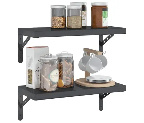 Seinariiulid 2 Tk, 50X23,5 cm Must, Roostevaba Teras