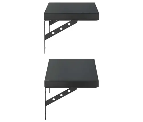 Seinariiulid 2 Tk, 50X23,5 cm Must, Roostevaba Teras