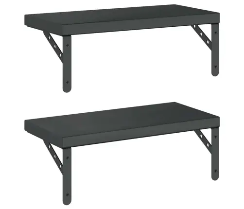 Seinariiulid 2 Tk, 50X23,5 cm Must, Roostevaba Teras