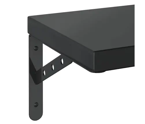 Seinariiulid 2 Tk, 50X23,5 cm Must, Roostevaba Teras