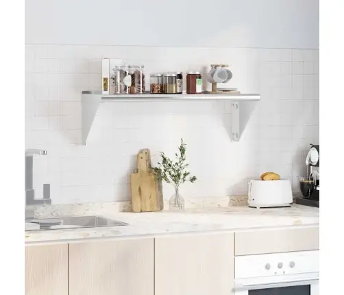 Sienas Plaukts, 100X30X31 Cm, Sudraba Krāsā, Nerūsējošs Tērauds Vidaxl