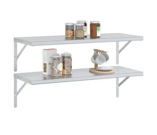 Sienas Plaukti, 2 Gab., 100X40X3 Cm, Sudraba Krāsā, Tērauds Vidaxl